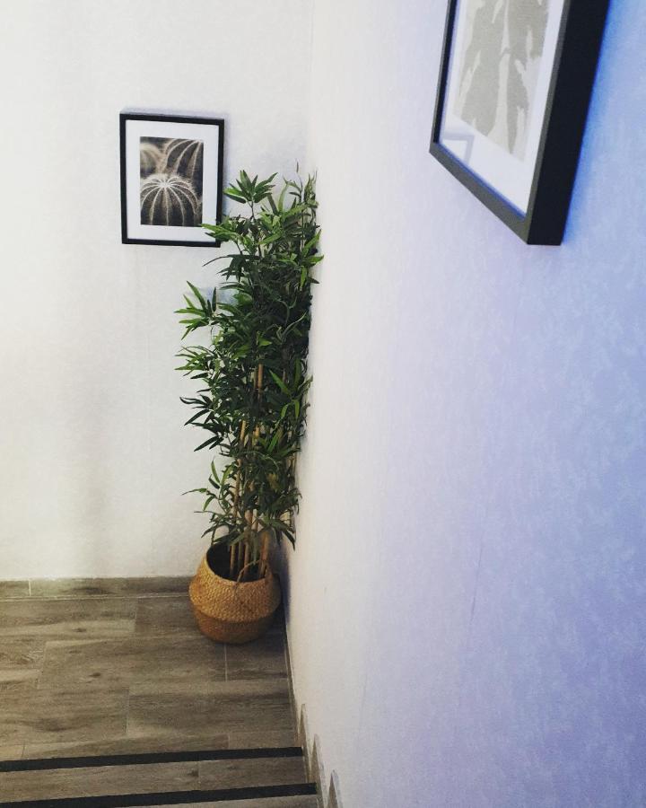 Alojamiento Weier La Cistérniga Kültér fotó